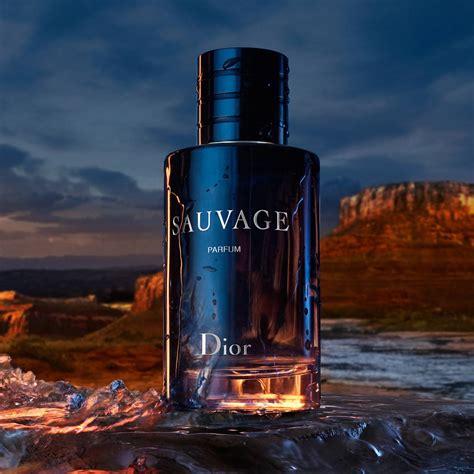 sauvage dior parfüm|dior sauvage 100ml cheapest.